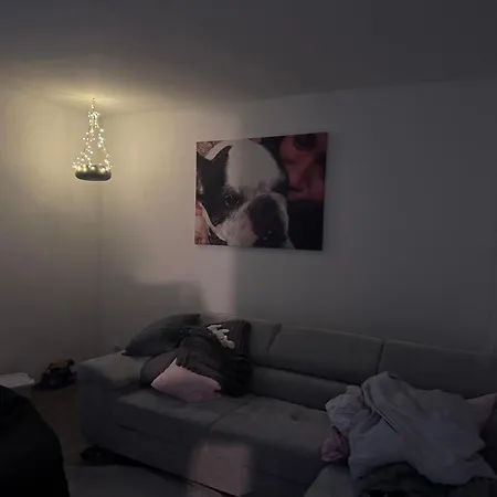 Homestay szállás Wohnzimmer Fuer Zwei Personen Ich Vermiete Nur Wohnzimmer Ich Bin Vor Ort Oder Auch Nicht *